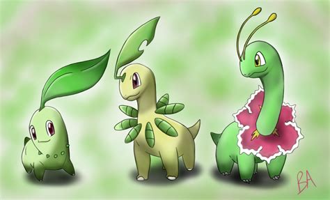 chikorita pokémon evolution|shiny chikorita evolution.